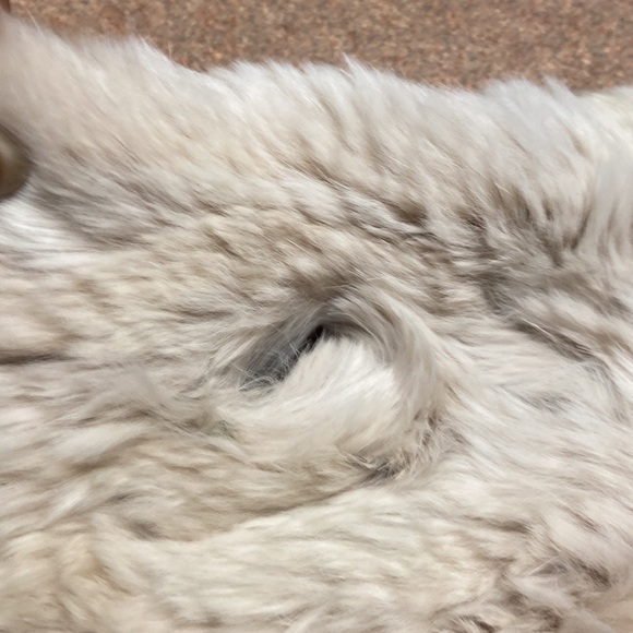 Genuine Rabbit Fur Scarf 43. - Picture 8 of 10